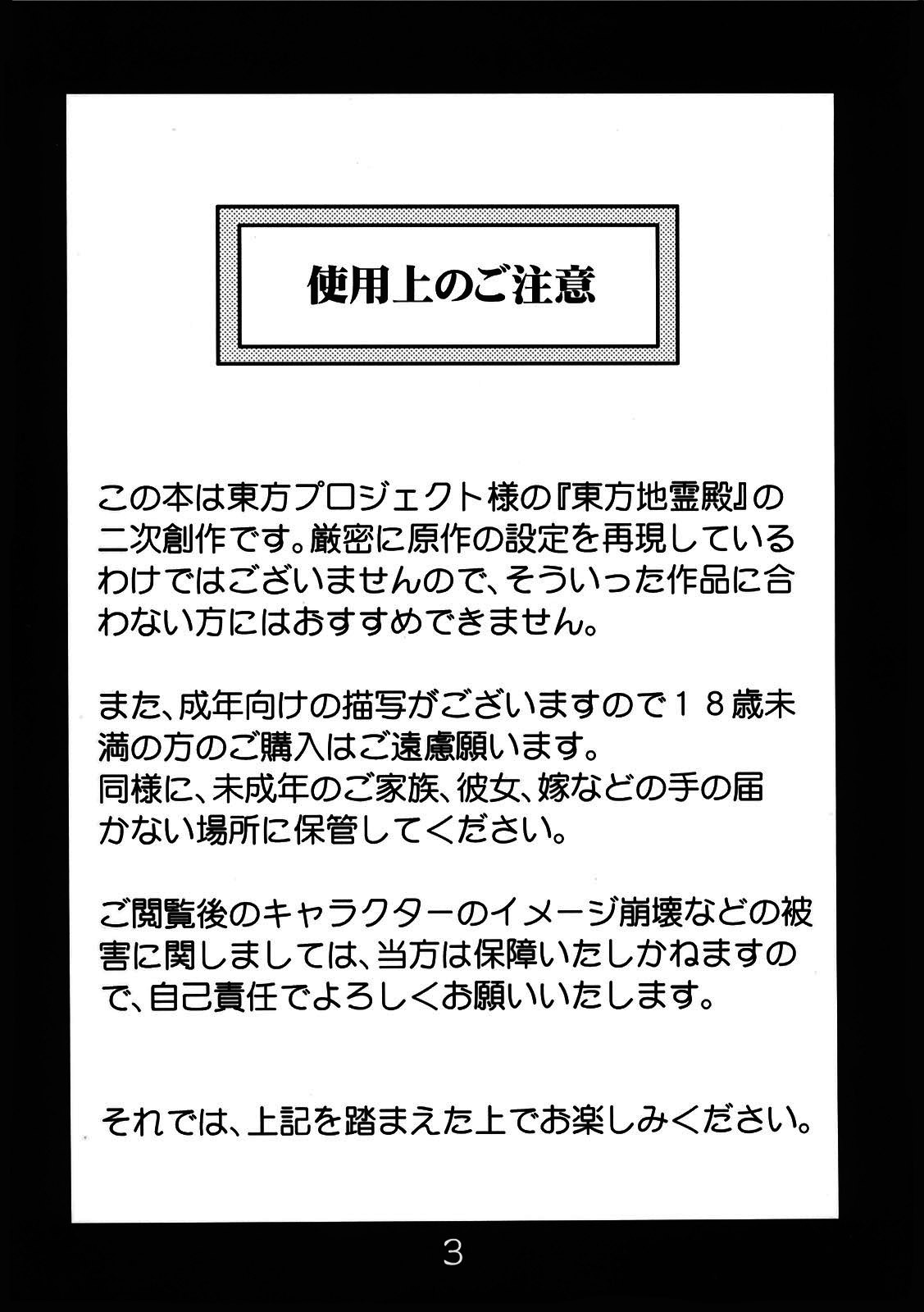 (C78) [RapidRabbit (Tomotsuka Haruomi)] Byoujo no Sho | A Disease Woman's Story (Touhou Project) [English] [ATrans] page 3 full