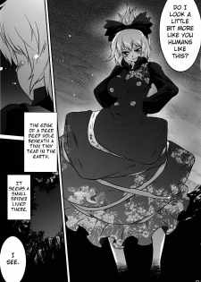 (C78) [RapidRabbit (Tomotsuka Haruomi)] Byoujo no Sho | A Disease Woman's Story (Touhou Project) [English] [ATrans] - page 25