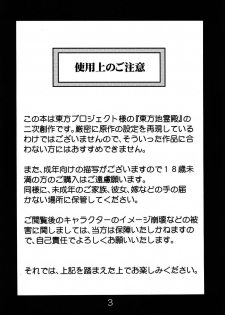 (C78) [RapidRabbit (Tomotsuka Haruomi)] Byoujo no Sho | A Disease Woman's Story (Touhou Project) [English] [ATrans] - page 3