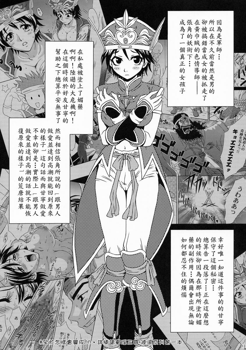 (C66) [U.R.C (Momoya Show-Neko)] Rikuson-chan ~Lovely Gunshi no Himitsu~ (Dynasty Warriors) [Chinese] [鏡花水月] page 14 full