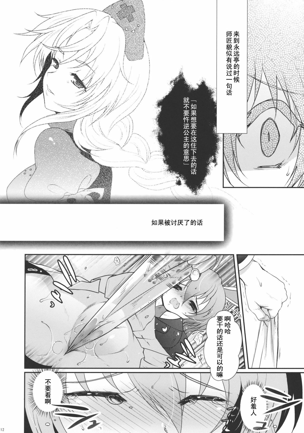 (C78) [Kuma-tan Flash! (Hanao)] Scapegoat Act: 1 (Touhou Project) [Chinese] [52H里漫画] page 12 full