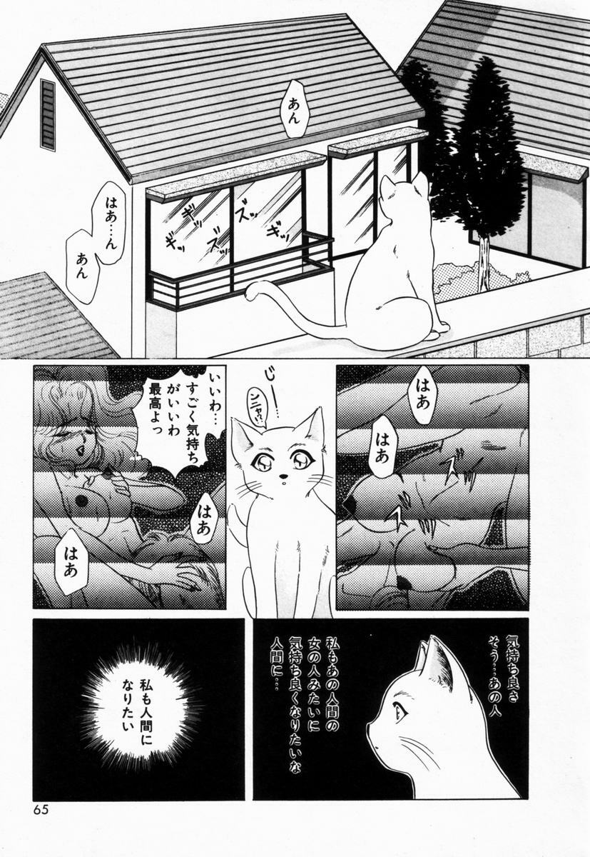 [Tachibana Takashi] Seitokaichou wa F Cup page 68 full