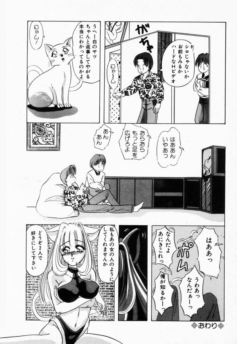 [Tachibana Takashi] Seitokaichou wa F Cup page 81 full