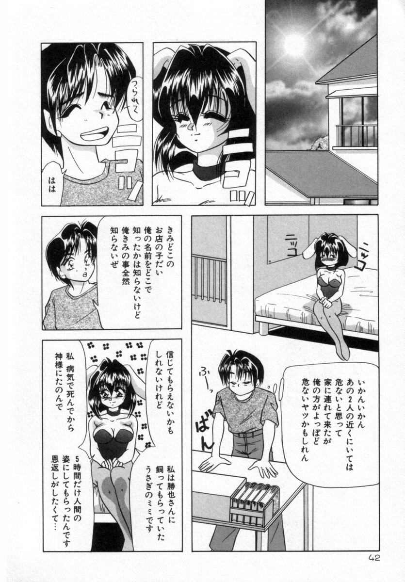 [Tachibana Takashi] Alice to Ufufu page 41 full