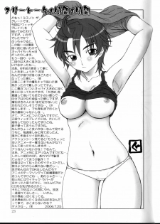 (C70) [Oretachi Misnon Ikka (Misnon the Great)] TUIHOU KAKUGO Version.12 (Witchblade) - page 21