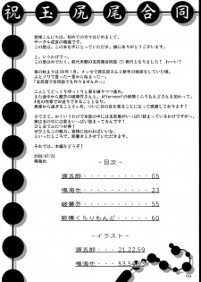 (C74) [Narumiya, Youmusya (Various)] Tama Shippo (Touhou Project) [Portuguese-BR] [Harutashi] - page 3
