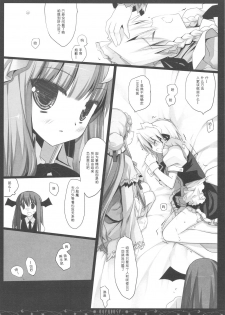 (C76) [D.N.A.Lab. (Miyasu Risa)] OVERDOSE (Touhou Project) [Chinese] [绯色汉化组] - page 11