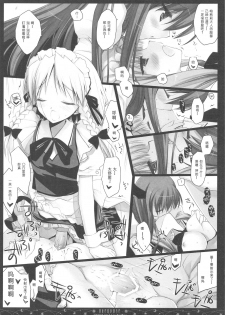 (C76) [D.N.A.Lab. (Miyasu Risa)] OVERDOSE (Touhou Project) [Chinese] [绯色汉化组] - page 17