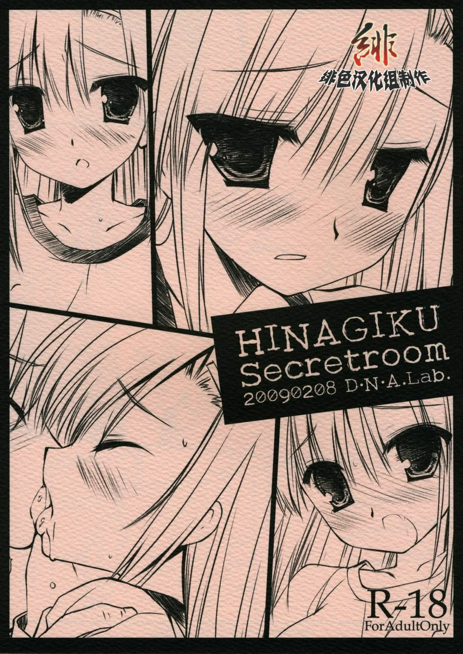 (SC42) [D.N.A.Lab. (Miyasu Risa)] HINAGIKU Secretroom (Hayate no Gotoku!) [Chinese] [绯色汉化组] page 1 full