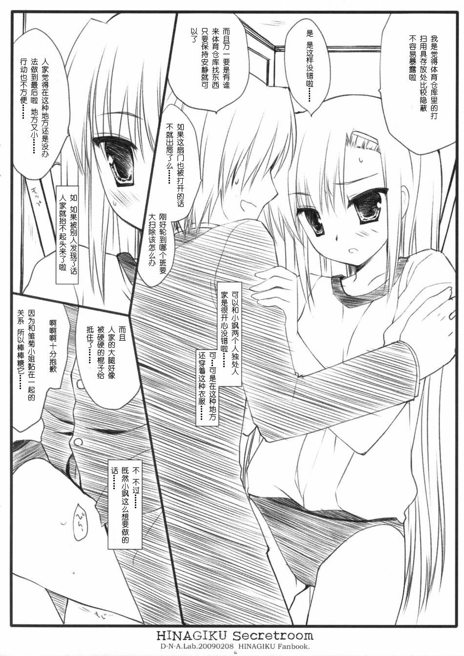 (SC42) [D.N.A.Lab. (Miyasu Risa)] HINAGIKU Secretroom (Hayate no Gotoku!) [Chinese] [绯色汉化组] page 3 full