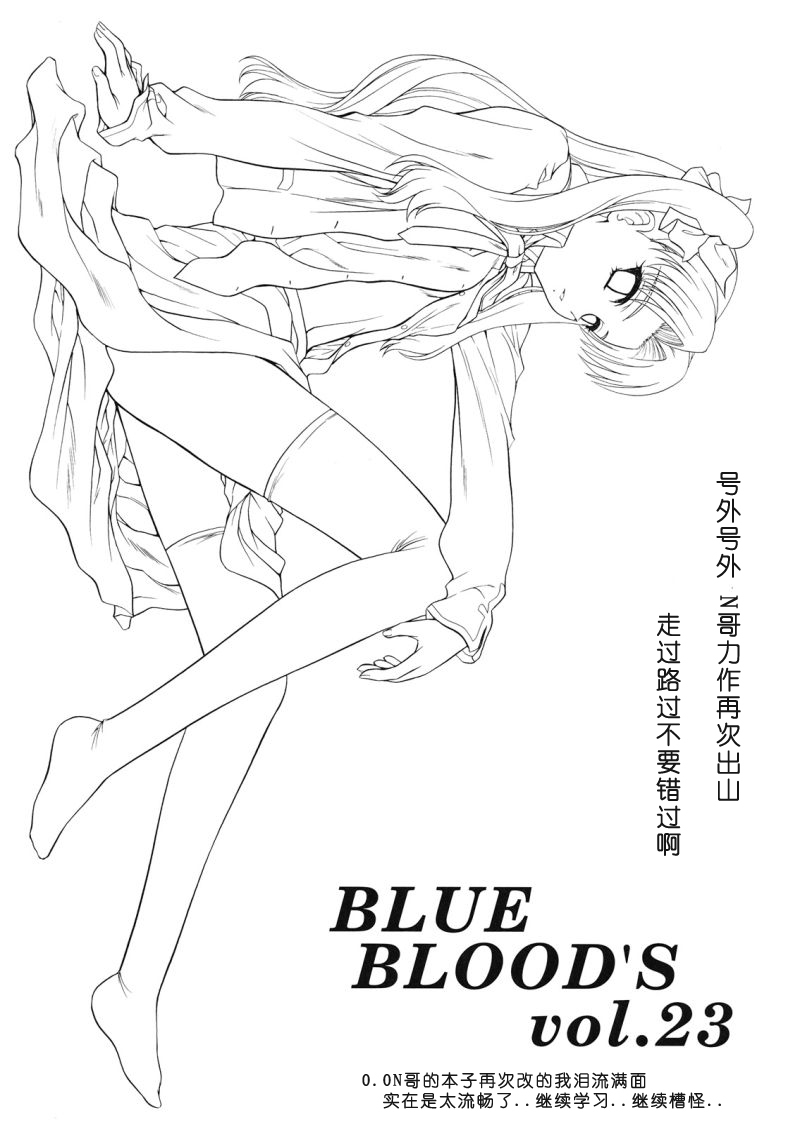 [BLUE BLOOD'S (BLUE BLOOD)] BLUE BLOOD'S Vol. 23 (Fate/stay night) [Chinese] [绯色汉化组] page 2 full