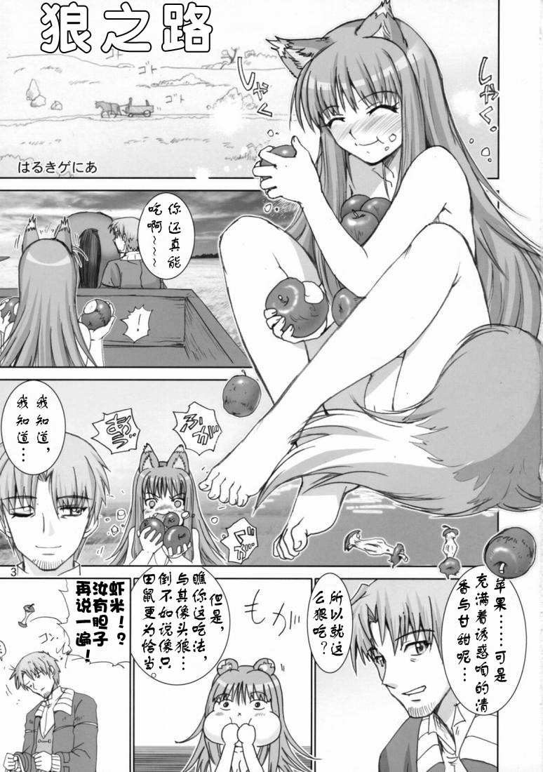 (SC38) [Raijinkai (Haruki Genia)] Wolf Road (Spice and Wolf) [Chinese] [绯色汉化组] page 2 full