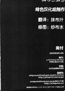 (C76) [Pink & Shigunyan (Araiguma, Shigunyan)] Mikkomiko (Touhou Project) [Chinese] [绯色汉化组] - page 29