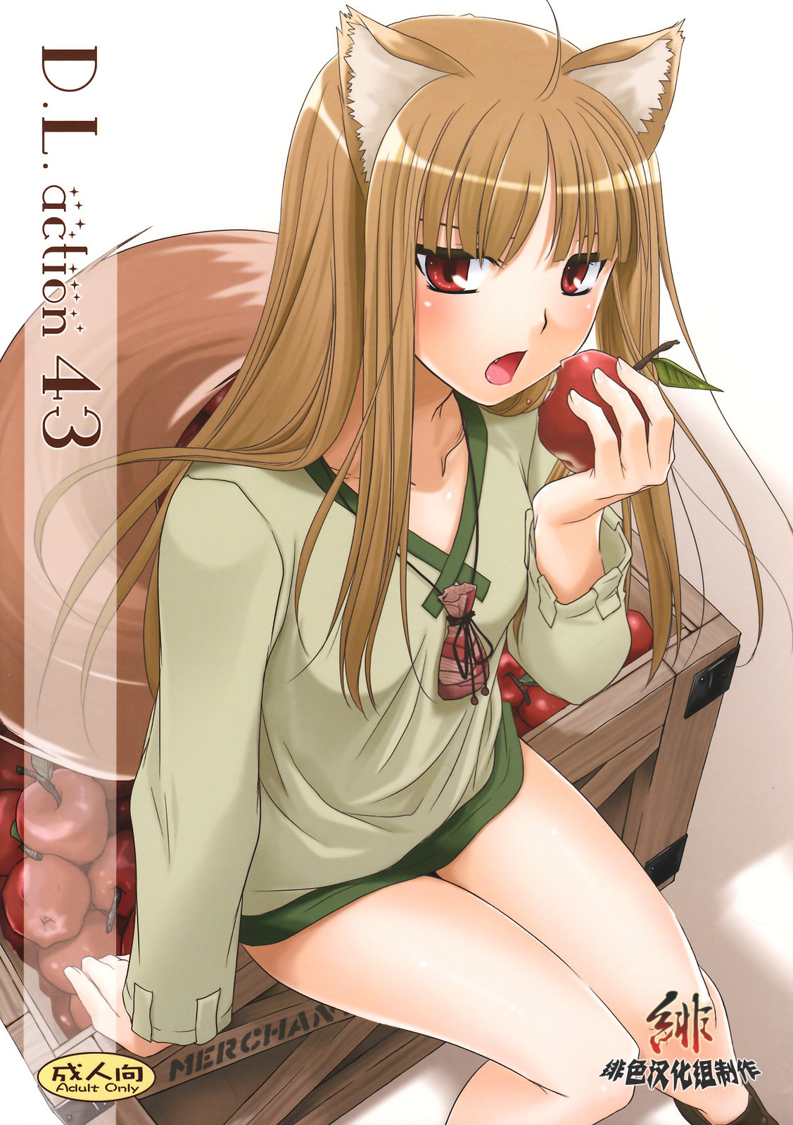 (COMIC1☆2) [Digital Lover (Nakajima Yuka)] D.L. action 43 (Spice and Wolf) [Chinese] [绯色汉化组] page 1 full