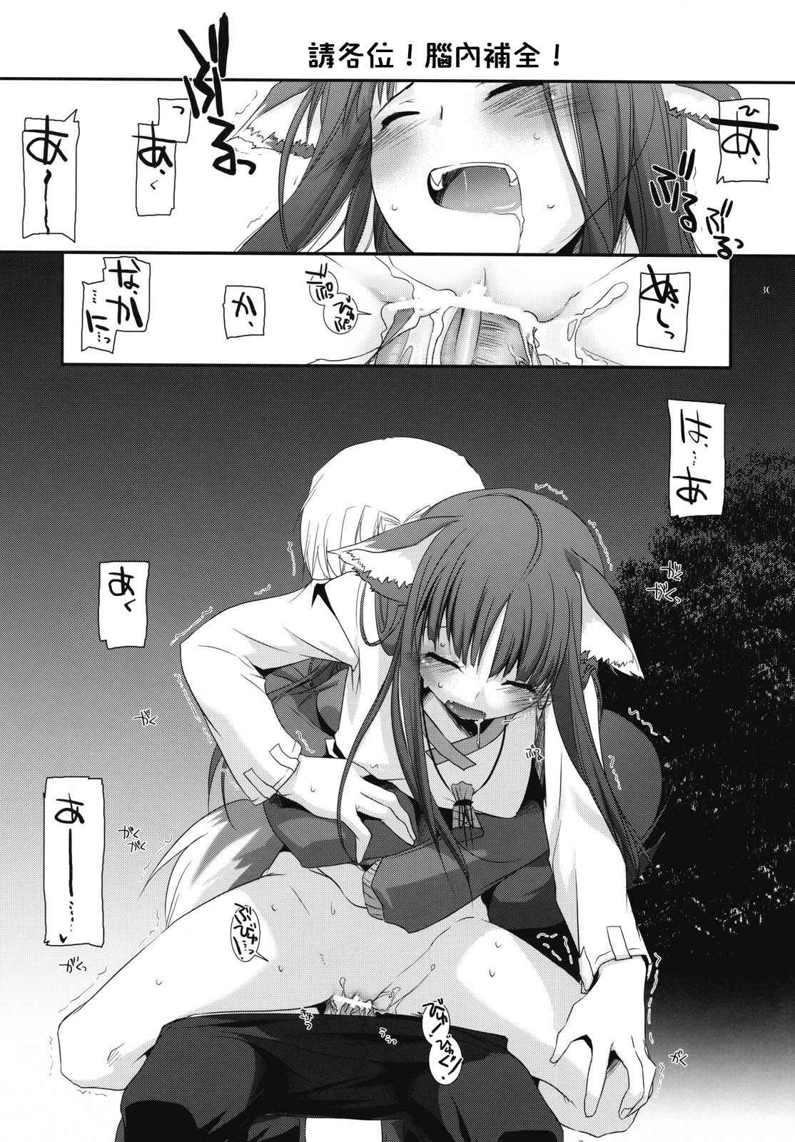 (COMIC1☆2) [Digital Lover (Nakajima Yuka)] D.L. action 43 (Spice and Wolf) [Chinese] [绯色汉化组] page 29 full