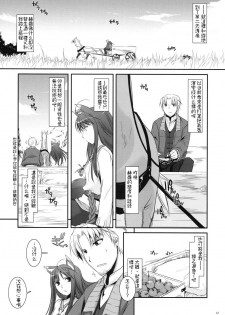 (COMIC1☆2) [Digital Lover (Nakajima Yuka)] D.L. action 43 (Spice and Wolf) [Chinese] [绯色汉化组] - page 11