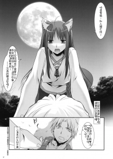 (COMIC1☆2) [Digital Lover (Nakajima Yuka)] D.L. action 43 (Spice and Wolf) [Chinese] [绯色汉化组] - page 16