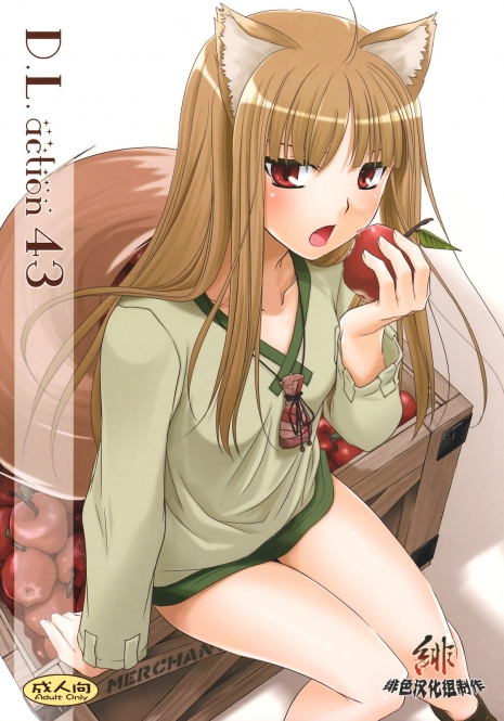 (COMIC1☆2) [Digital Lover (Nakajima Yuka)] D.L. action 43 (Spice and Wolf) [Chinese] [绯色汉化组]