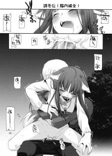 (COMIC1☆2) [Digital Lover (Nakajima Yuka)] D.L. action 43 (Spice and Wolf) [Chinese] [绯色汉化组] - page 29