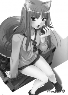 (COMIC1☆2) [Digital Lover (Nakajima Yuka)] D.L. action 43 (Spice and Wolf) [Chinese] [绯色汉化组] - page 2