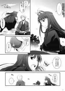 (COMIC1☆2) [Digital Lover (Nakajima Yuka)] D.L. action 43 (Spice and Wolf) [Chinese] [绯色汉化组] - page 6