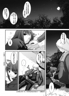 (COMIC1☆2) [Digital Lover (Nakajima Yuka)] D.L. action 43 (Spice and Wolf) [Chinese] [绯色汉化组] - page 7