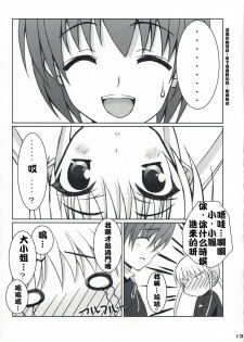 (C73) [Newton no Ringo (Inuzumi Masaki)] Fuyu Hina. (Hayate no Gotoku!) [Chinese] [绯色汉化组] - page 12