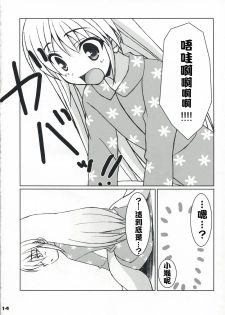 (C73) [Newton no Ringo (Inuzumi Masaki)] Fuyu Hina. (Hayate no Gotoku!) [Chinese] [绯色汉化组] - page 13