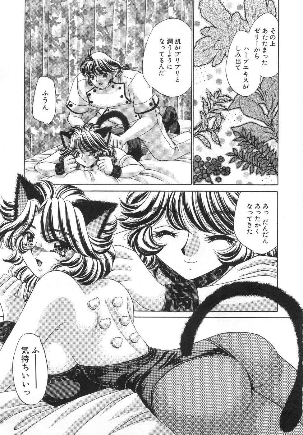 [Nekojima Lei] Iyashima Senka page 37 full