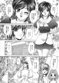 [Nekojima Lei] Iyashima Senka - page 12