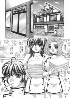 [Nekojima Lei] Iyashima Senka - page 30