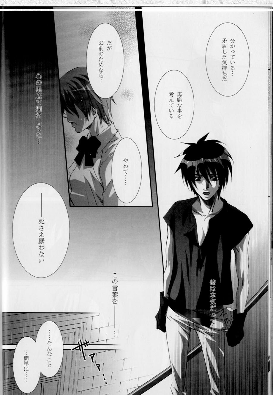 (C68) [Takahashi Kanbanten (Tajima Minato)] Kago no Tori 3 (Tenkuu No Escaflowne) page 20 full