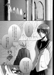 (C68) [Takahashi Kanbanten (Tajima Minato)] Kago no Tori 3 (Tenkuu No Escaflowne) - page 9