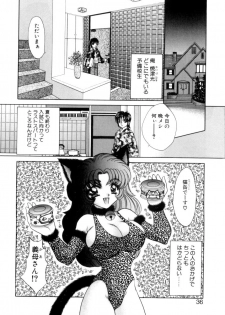 [Nekojima Lei] Kyonyuu ni Muka Nai Shokugyou - page 33