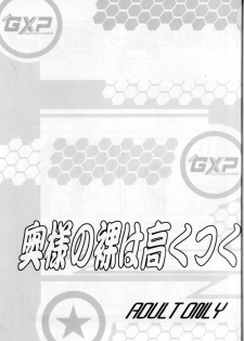 [T2-UNIT & MAD MAC (Franken N)] Oku-sama no Hadaka wa Takaku Tsuku (Tenchi Muyou! GXP) - page 2