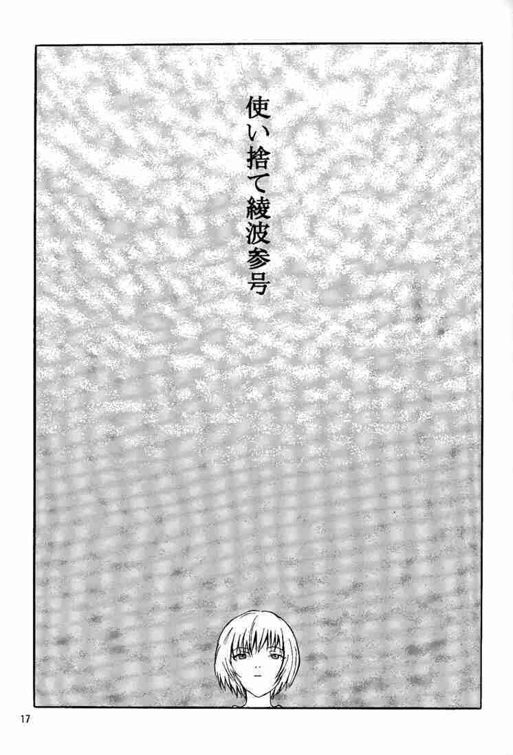 (C53) [Manga Super (Nekoi Mie)] Wonderful World (Neon Genesis Evangelion) page 16 full