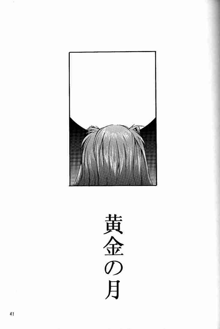 (C53) [Manga Super (Nekoi Mie)] Wonderful World (Neon Genesis Evangelion) page 40 full