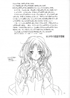 (C62) [United Soujisha (Unite Souji)] M Shounen no Katei Gakushuuchou - page 14
