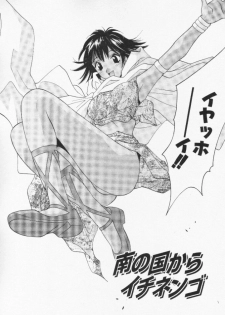 [Uchino Bungo] Minami no Kuni Kara Konnichiwa - page 25