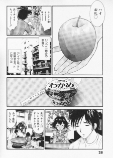 [Uchino Bungo] Minami no Kuni Kara Konnichiwa - page 29