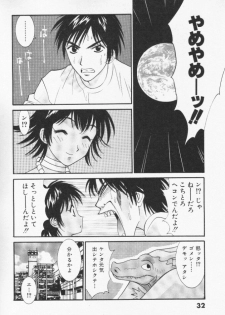 [Uchino Bungo] Minami no Kuni Kara Konnichiwa - page 33