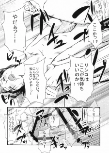 (C77) [Gamute de Kotei (Shiiruzu)] Love+Rinko+Plus (Love Plus) - page 24
