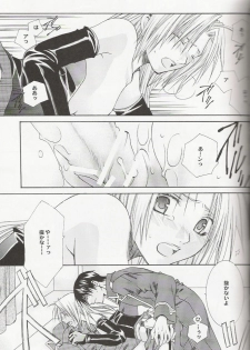 [VALIANT (Shijima Kiri)] Scarlet (Fullmetal Alchemist) - page 28