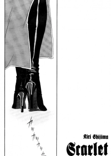 [VALIANT (Shijima Kiri)] Scarlet (Fullmetal Alchemist) [English] [Central Library] - page 3