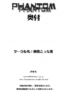 [Tsukudani Gottani (Tsukudani Shirou)] PHANTOM×PHANTOM (Kaitou Tenshi Twin Angel) - page 17