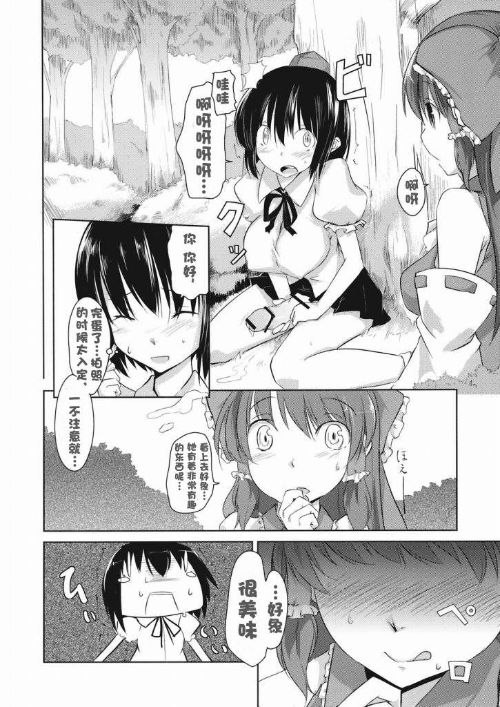 (C73) [Katamichi Kippu (Mikage Sekizai)] Sonna Gensoukyou (Touhou Project) [Chinese] [绯色汉化组] page 10 full