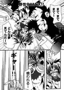 (C69) [PRANK, KPTM'S, Pappara Kotekitai (Hoshi Itsuki, Kurotsuki Kyouto, Niihama Yurine)] Toraneko no Atsukaikata - How to Treat White Tiger (Onmyou Taisenki) - page 35