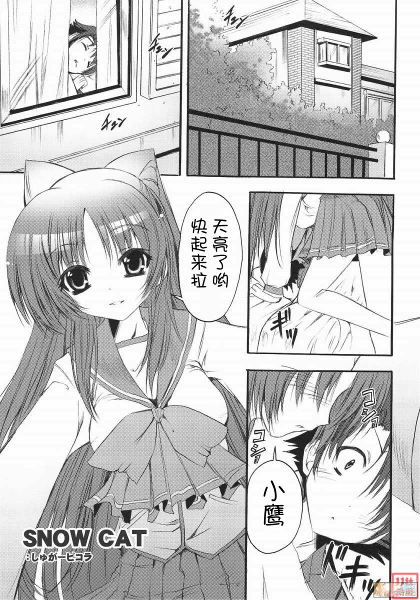 (C74) [SUGAR(S)POT (Sugar Picola, Tsukishima Yuuko)] PICOMANI:04 (ToHeart2) [Chinese] [JJ动漫社] page 27 full