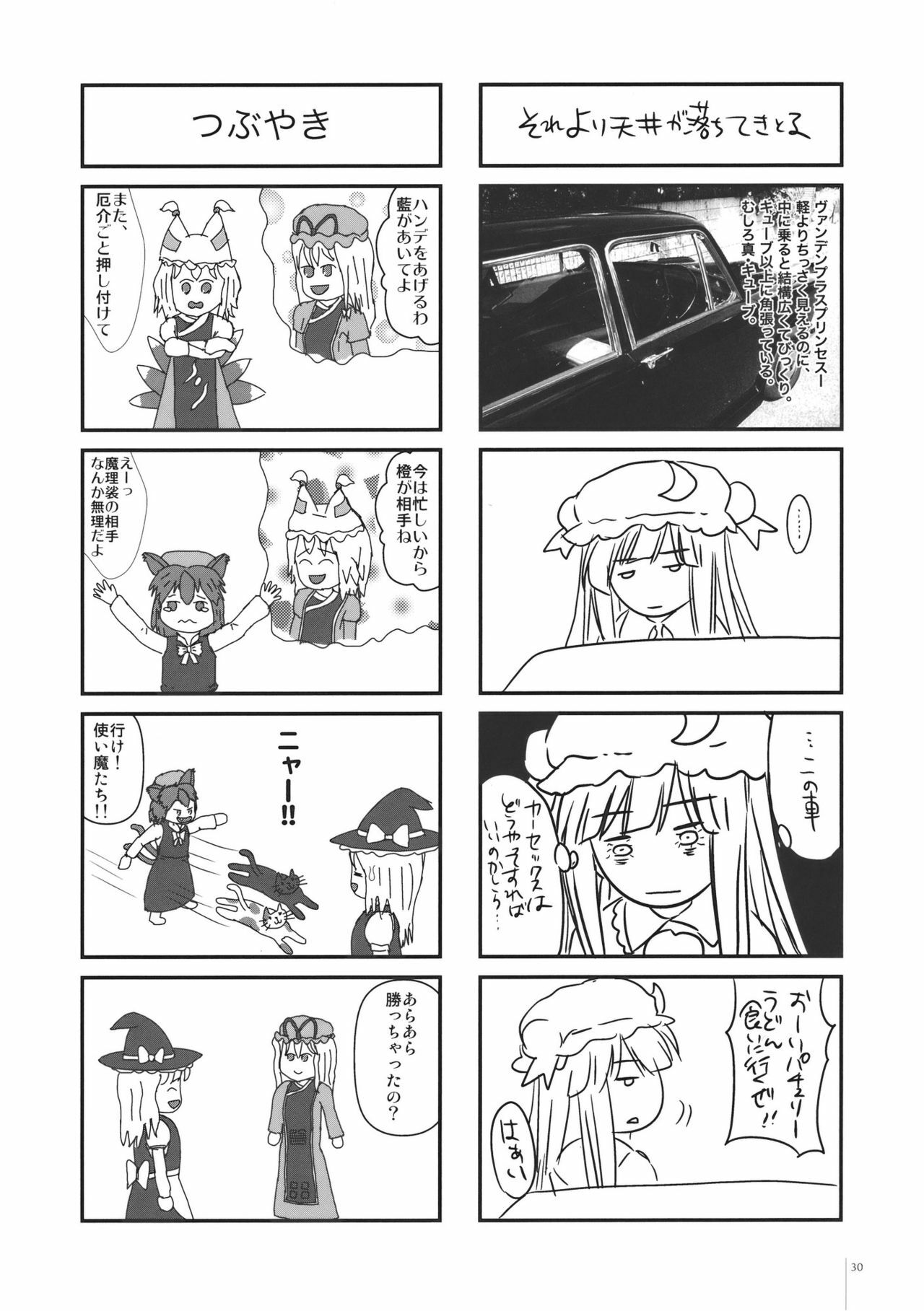 (C78) [Alemateorema (Kobayashi Youkoh)] GARIGARI 26 (Touhou Project) page 30 full