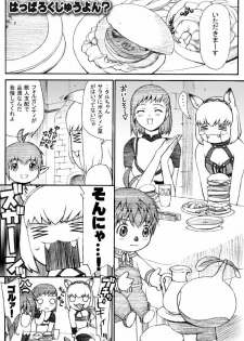 [TaisaiSOFT] Taisai no Hon III (Final Fantasy XI) - page 2
